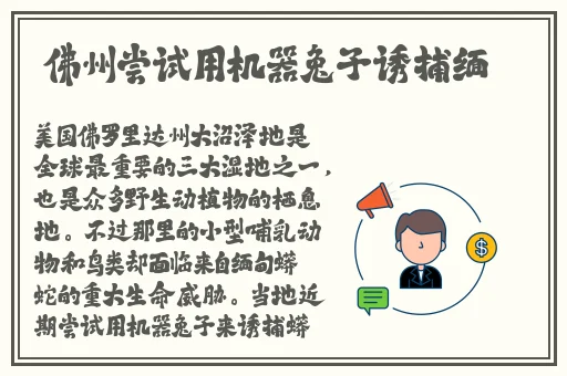 缅北活生生割下头颅网站